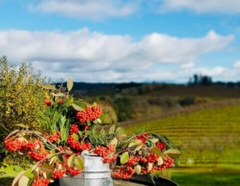 Sonoma Sonoma